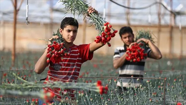 Kansızlığa portakal (Sağlık haberleri)-2