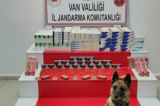 Van'da araçtan cephanelik çıktı