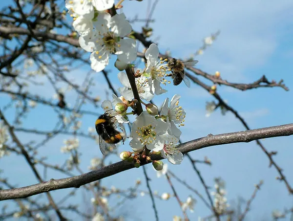 HAVA DURUMU | Meteoroloji'den Marmara ve Ege'ye kuvvetli rüzgar uyarısı! Bugün hava nasıl olacak? | 19 Eylül 2023 hava durumu-7