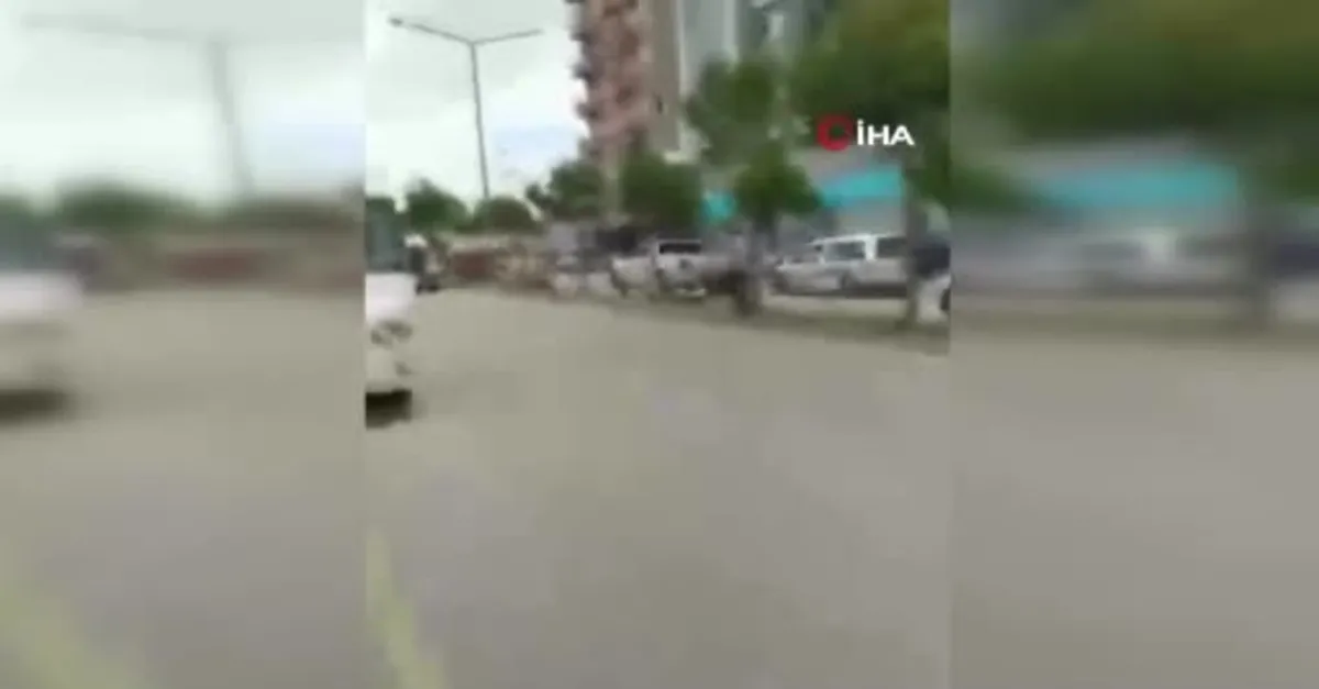 Adana'da korkunç son! Köpeklerden kaçarken düşerek ağır yaralanan şahıs hayatını kaybetti