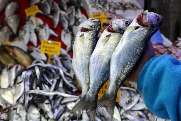 10-15 senedir böylesi görülmedi! Fiyatı yarı yarıya düştü-2