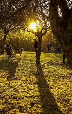 Sonbaharda sıcaklıklar mevsim normallerinin...