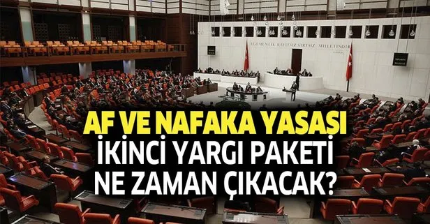 Genel Af Ve Nafaka Ne Oldu 2019 Ikinci Yargi Paketi Ne Zaman Aciklanacak 9 Kasim Af Ve Nafaka Yasasi Son Durum Takvim
