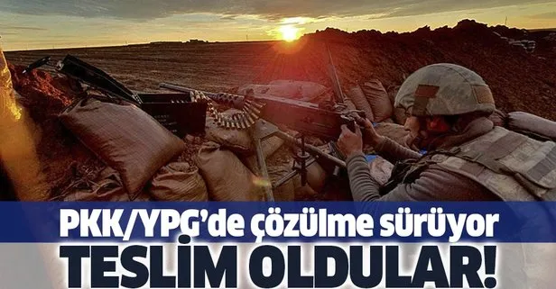 2 PKK/YPG’li terörist daha teslim oldu