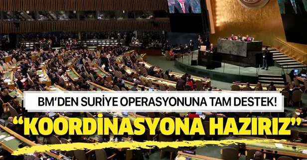 BM’den Türkiye’nin Suriye operasyonuna destek!