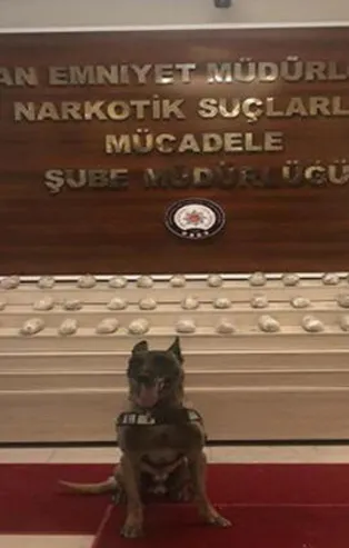 Van'da 21 kilo eroin ele geçirildi