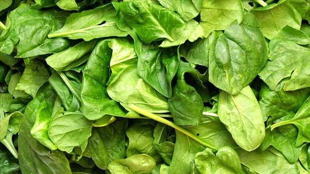 Gıda krizinin ardından şimdi de gıda zehirlenmesi paniği! Marketlerden tek tek toplatılıyor-3