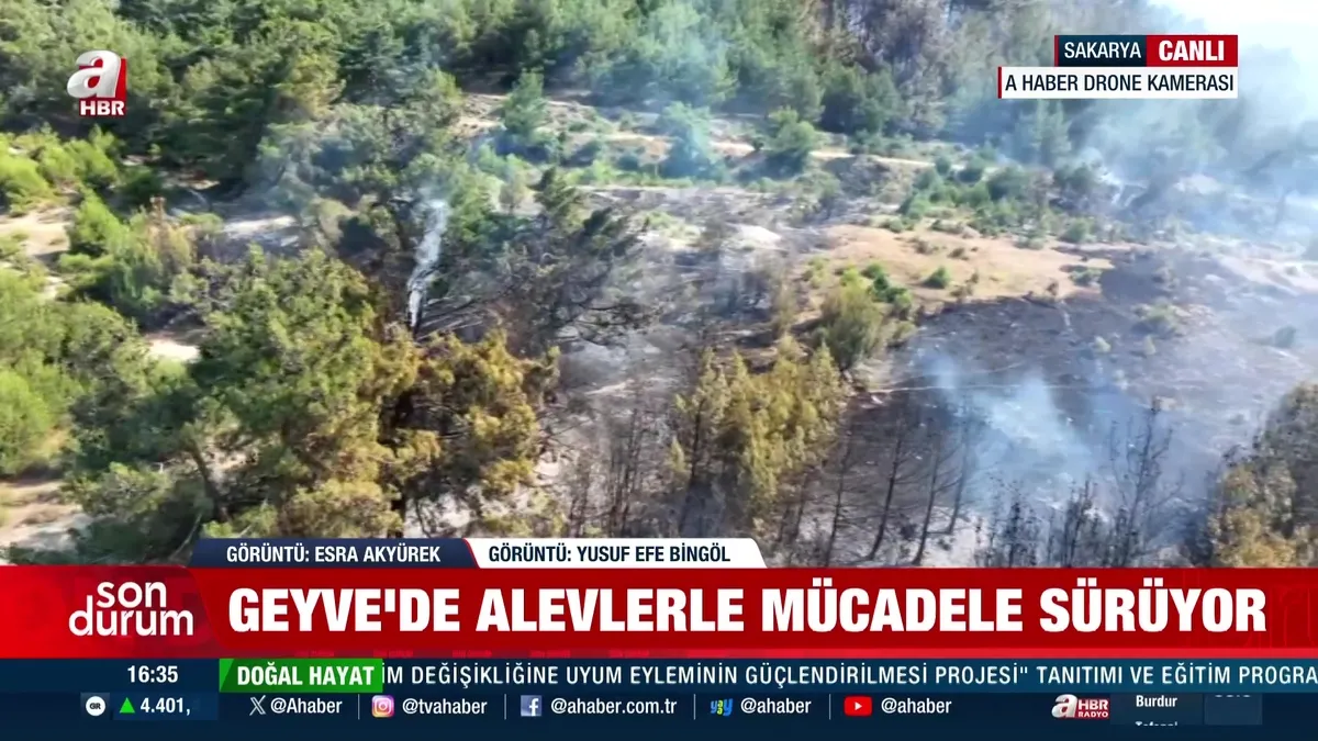 Sakarya Geyve'de alevlerle mücadele sürüyor!