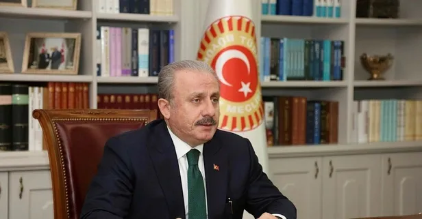 TBMM Başkanı Mustafa Şentop: Misak-ı Milli, milli hedeflerimizin manifestosudur