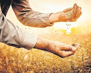 Tahıl ve meyvede üretim artacak