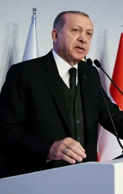 Cumhurbaşkanı Erdoğan: Git yat aşağı