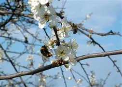 Havalar nasıl olacak?