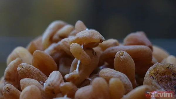 Başkan Erdoğan'ın ikramı satışları artırdı! Bucak salebinin kilosu 1500 liradan satılıyor - 1