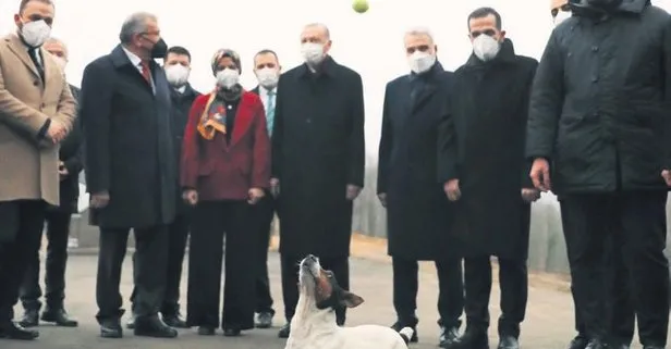 Başkan Erdoğan Beykoz’da hayvan barınağını ziyaret etti! Yanına topla gelen Maylo’yla dakikalarca oynadı