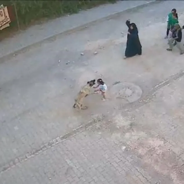 Her saniyesi dehşet! Sokak köpeği küçük kıza saldırdı