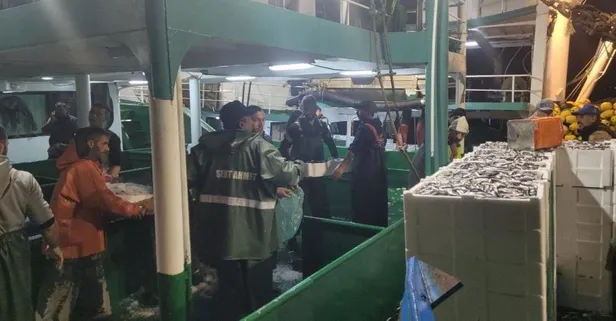 Karadeniz'de balık bolluğu! Selin vurduğu Kastamonu'da balıkçılar kasa kasa hamsi ile dönüyor