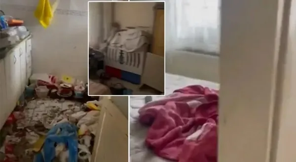 Bir çöp ev vakası daha! Yer: İstanbul Eyüpsultan! Anne ve baba terk etti, 3 çocuk çöp evde bulundu-2