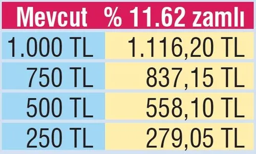 Emekliye 2.232 TL bayram ikramiyesi! 2020'de emeklinin bayram ikramiyesine zam gelecek mi?-5