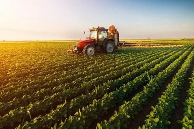 Tarım ve Orman Bakanlığı açıkladı! O borçlara yapılandırma geliyor
