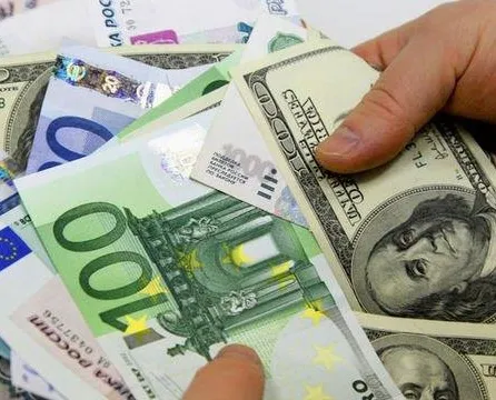 Euro ve dolar zirve yaptı