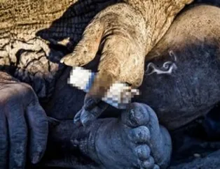 60 yıldır eline su değmedi