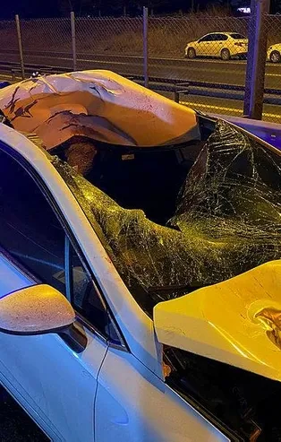 TEM Otoyolu'nda feci kaza! Otomobilin çarptığı yaya öldü