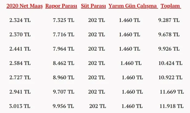 Bunu mutlaka alın! Kadınlara 9000 TL'den fazla devlet desteği müjdesi! Devletin arttırdığı destek paraları neler?-5
