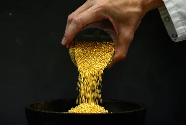 Toprağından altın fışkırıyor: O bölgeye piyango vurdu