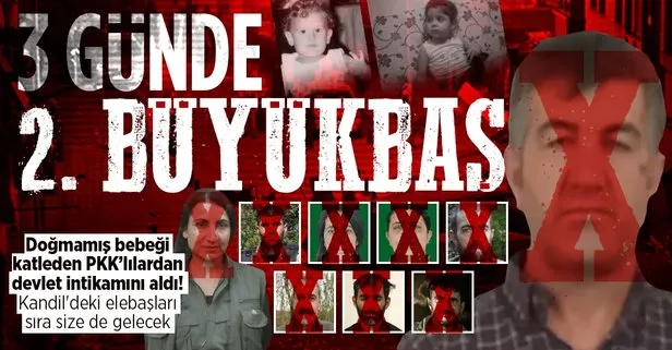 MİT’ten nokta operasyon: Güngören saldırısının faili PKK’lı Nüsret Tebiş öldürüldü