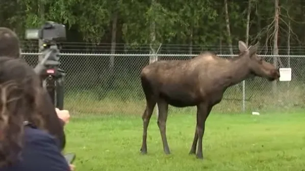 rus-gazetecilerin-menusunde-kievski-lavrovun-kazagi-usse-sizan-geyik-zelenskiy-alaskada-gundeme-damga-vuran-an-1755272187519.jpeg Rus gazetecilerin menüsünde “Kiev”ski! Lavrov’un kazağı, üsse sızan geyik “Zelenskiy” | Alaska’da gündeme damga vuran anlar…-5