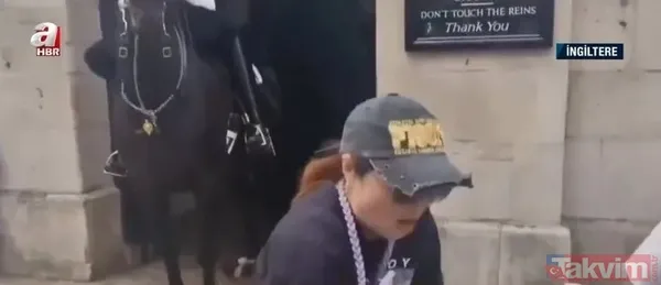 İngiltere’de Kraliyet atı krizi! Çinli turist ‘dikkat ısırır’ uyarısını görmeyince olanlar oldu: Çığlık çığlığa arkadaşlarına koştu - 8