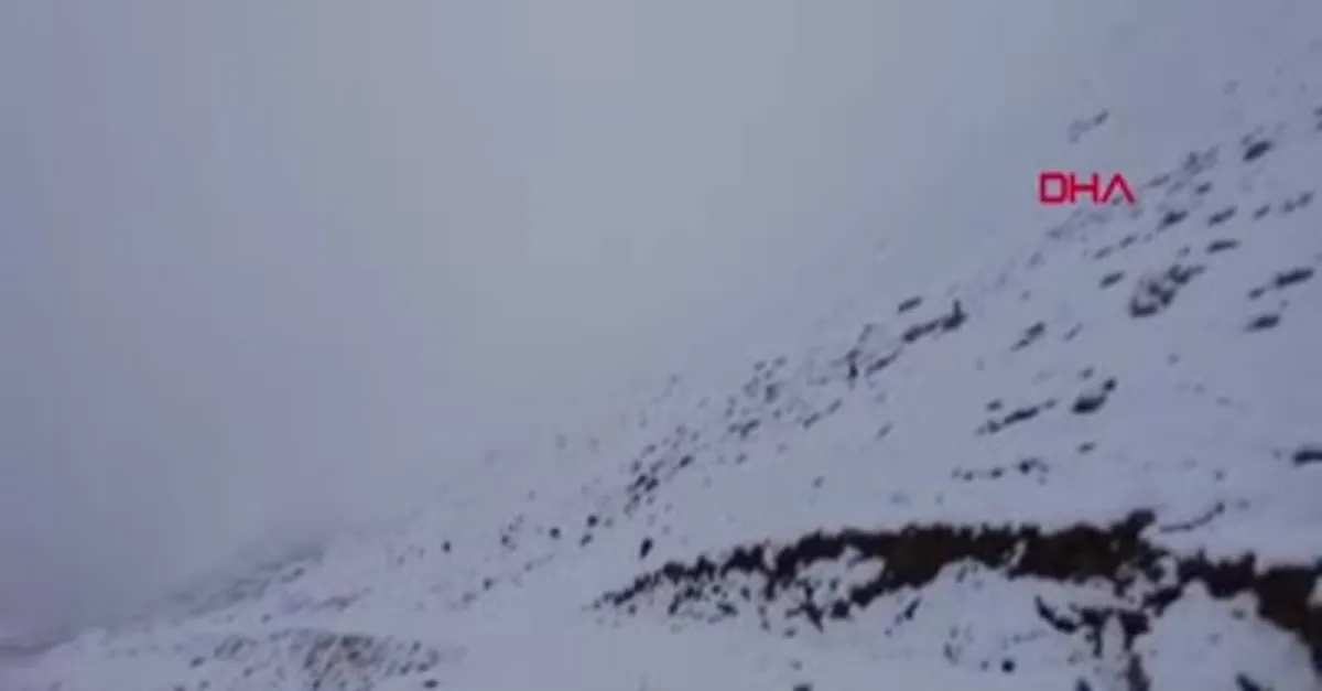 Doğu Karadeniz'de yaylalar beyaza büründü
