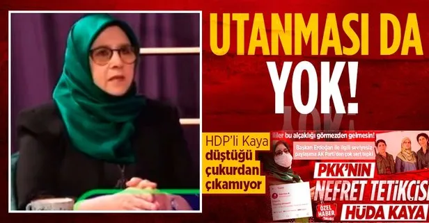 Başkan Erdoğan’ı nefretle hedef alan HDP’li Hüda Kaya imza attığı rezilliği savundu!