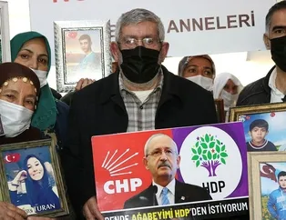 Ağabeyimi HDP’den istiyorum