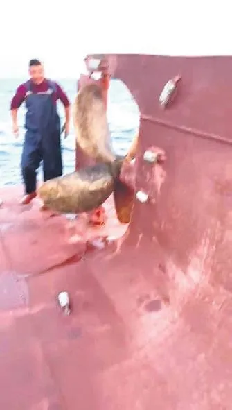 adana-aciklarinda-korkunc-carpisma-1605133727697.jpeg Adana açıklarında korkunç çarpışma!-2