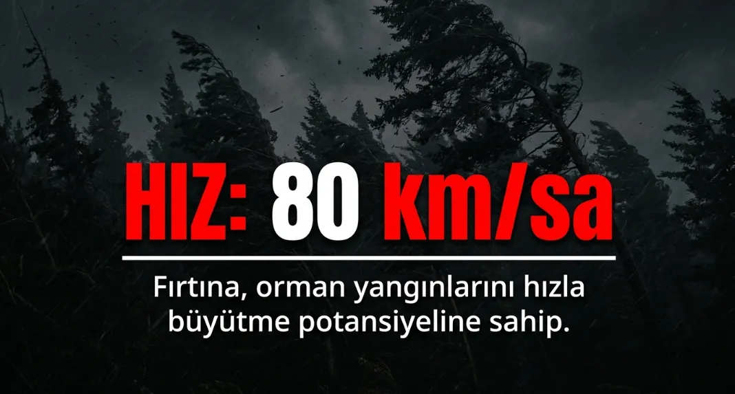 1785276253970.png Bakan Yumaklı'dan kritik fırtına uyarısı! Şiddetli rüzgar orman yangınlarının yayılma riskini artırıyor-2