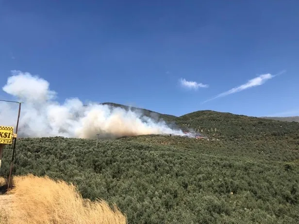 SON DAKİKA: Bursa'da hastane yakınında bulunan ormanlık alanda yangın-1