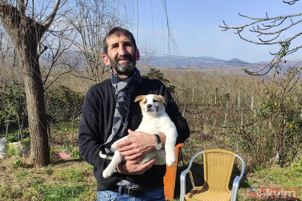 Duygulandıran görüntü! Pompalı tüfekle öldürülen köpeğin 7 yavrusu başından ayrılmadı - 12