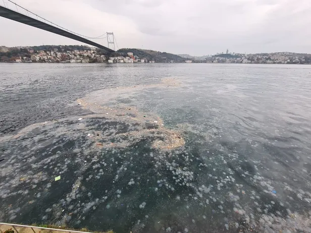 Boğaz’dan içler acısı görüntü! CHP’li İBB müdahale etmeyince kirlilik ayyuka çıktı