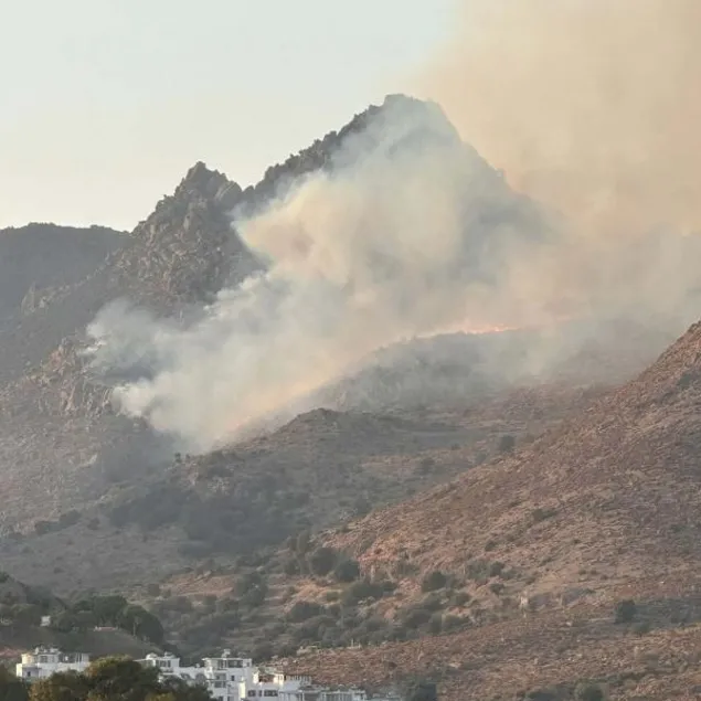 Bodrum’da maki yangını