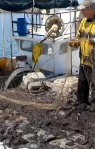 Saros Körfezi'nde korkutan görüntü: Ağlara balık yerine çamur takılıyor!
