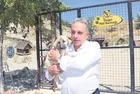 Talas Pati Evi: Köpeklerin 5 yıldızlı oteli