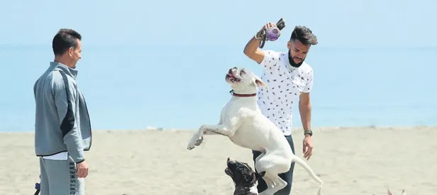 Bibras Natcho bombası