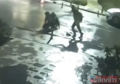 Yer: Ankara Çankaya... Daha önce 4 kişiyi yaralayan pitbull yine dehşet saçtı! Kızını korumak isteyen anne ağır yaralandı