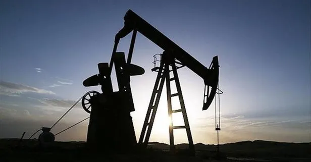 Emtia piyasalarında petrol yüzde 2.0’den fazla yükseldi | Emtia piyasaları 12 Şubat 2020
