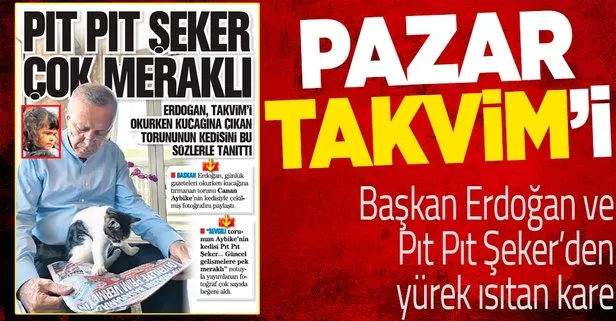 Başkan Erdoğan, dün torunu Canan Aybike’nin kedisiyle olan fotoğrafını paylaştı: Elindeyse, TAKVİM gazetesi vardı