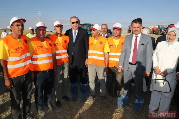 Başkan Erdoğan biçerdöverde buğday hasatı yaptı - 21