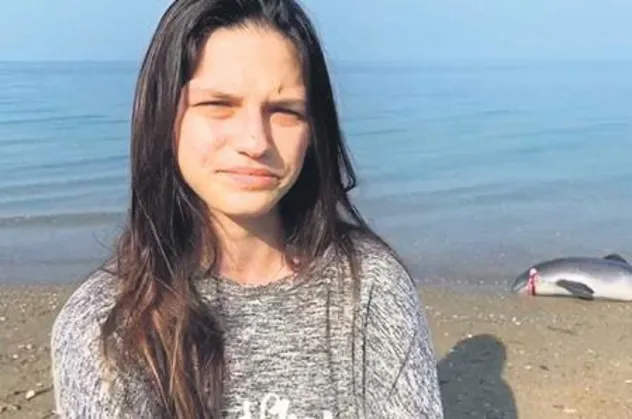 Bursa'da bir grup vicdansız, yavru yunusu zıpkınla vurarak öldürdü