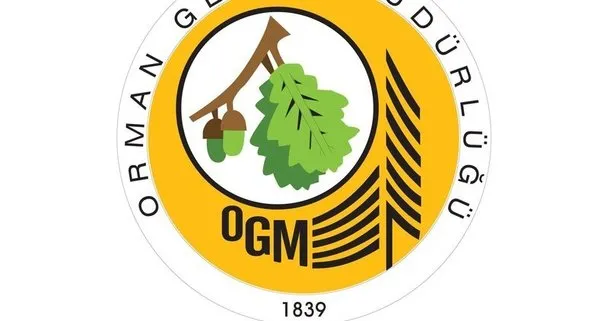 İsealim.ogm.gov.tr: OGM personel alımı şartları - OGM, mülakatsız tekniker ve büro memuru alımı başvuru sayfası!