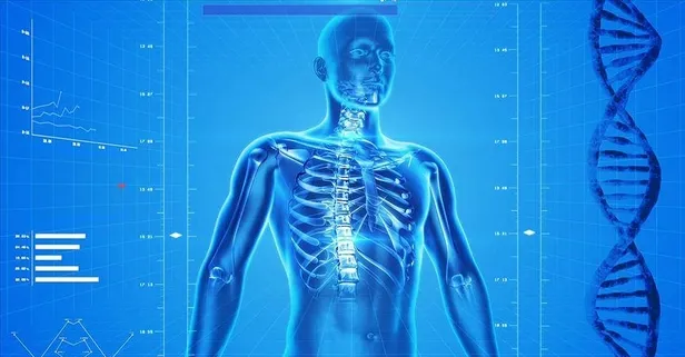 Hareket et osteoporozu geç! İşte osteoporozla ilgili bilinmesi gerekenler